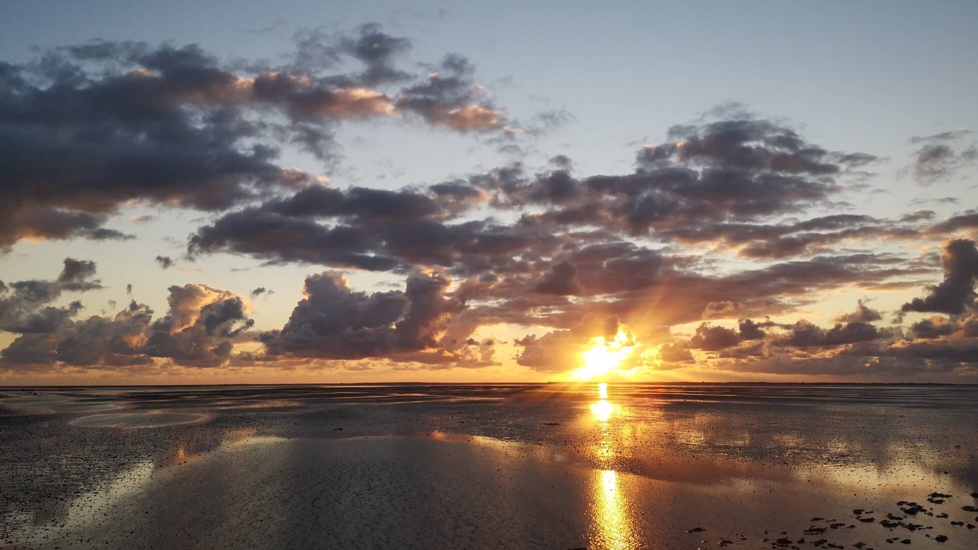 BR Niedersächsisches Wattenmeer (Foto: Jannis Splieth)