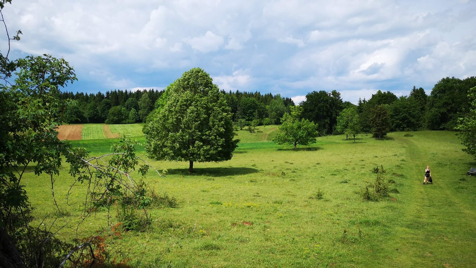 BR Schwäbische Alb (Foto: Jannis Splieth)