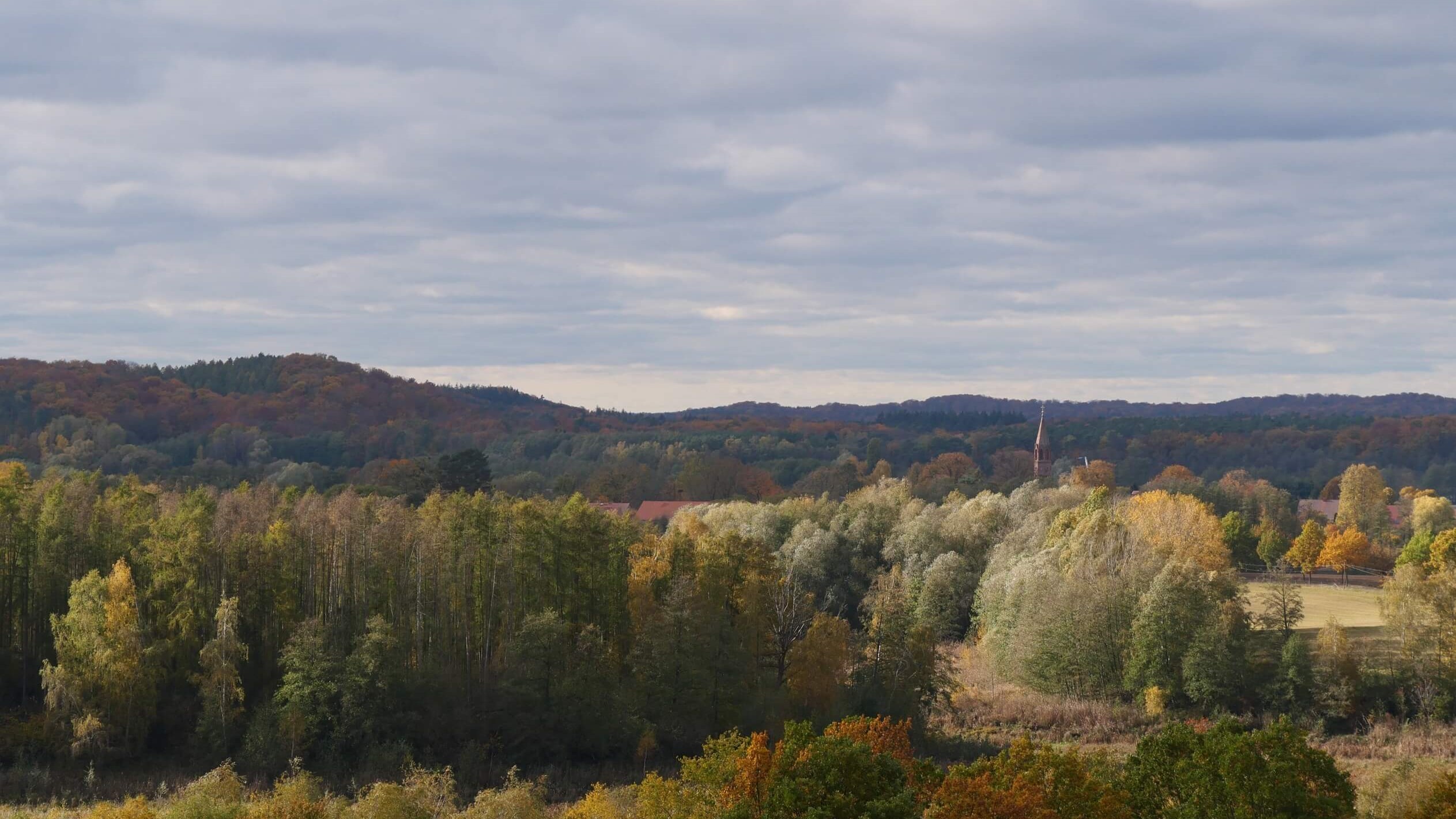 BR Schorfheide-Chorin (Foto: Franzi Leimkühler)