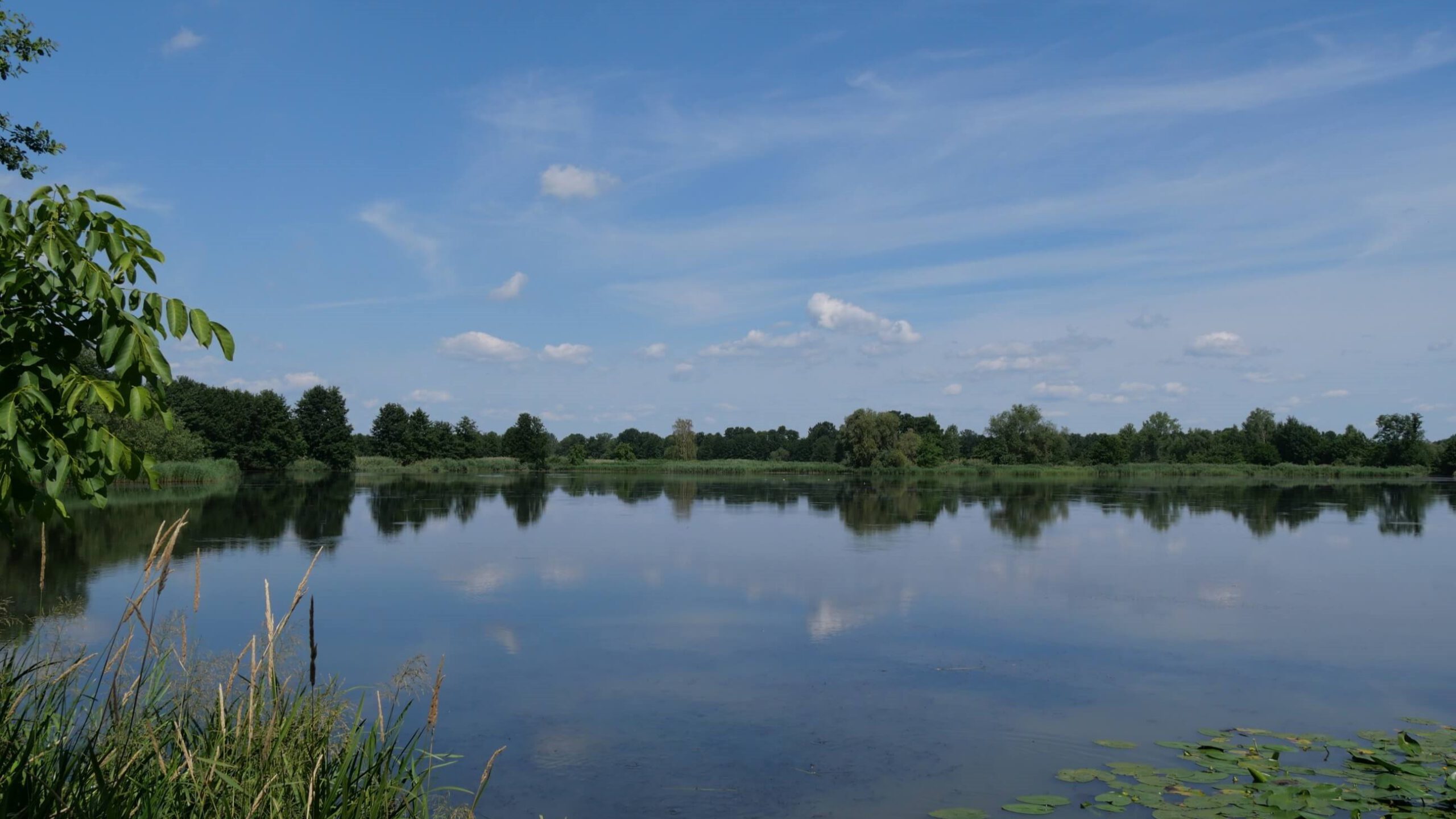 BR Spreewald (Foto: Franzi Leimkühler)