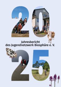 Jahresbericht 2025